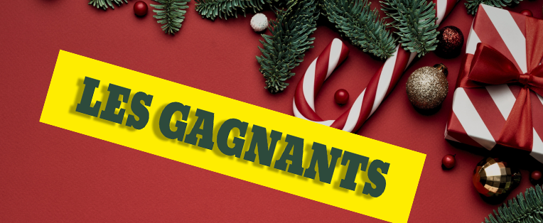 bandeau site les gagnants